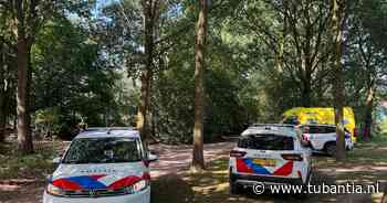 Meisje (15) opgepakt voor steekpartij in bos in Gemert, jongen gewond aan gezicht