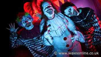 Terrifying Halloween event with zombies, horror clowns and jump scares coming to haunted Welsh castle
