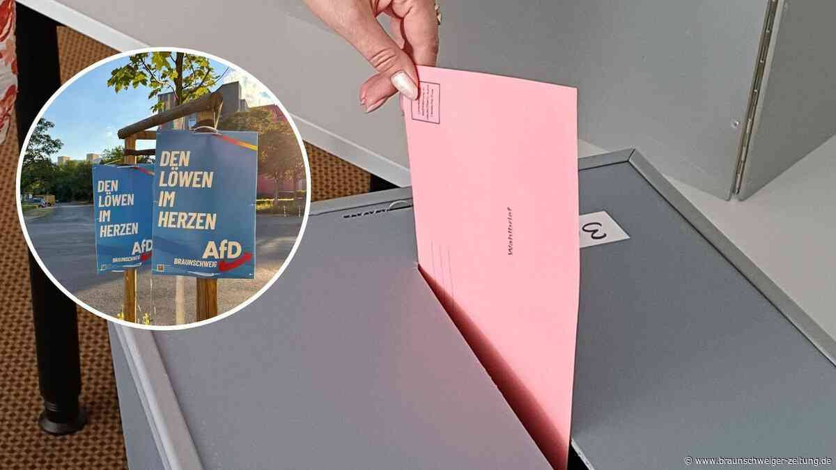 Vor der Kommunalwahl: Foto eines Braunschweiger AfD-Politikers wirft Fragen auf