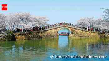 China tested nanobubbles across a 3,300-square-metre section of Taihu Lake; within 20 days...