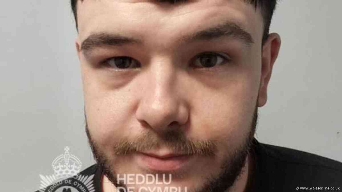 Dangerous predator locked up thanks to primary school girl's incredible bravery