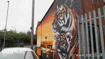 New Tiger mural celebrates Hull City's success