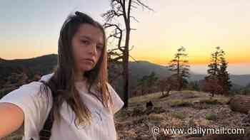Four young adults are killed after car they were driving rolls off a CLIFF as heartbroken families ask for help