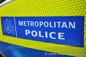 Met Police sergeant sacked after inappropriately touching woman at London bar