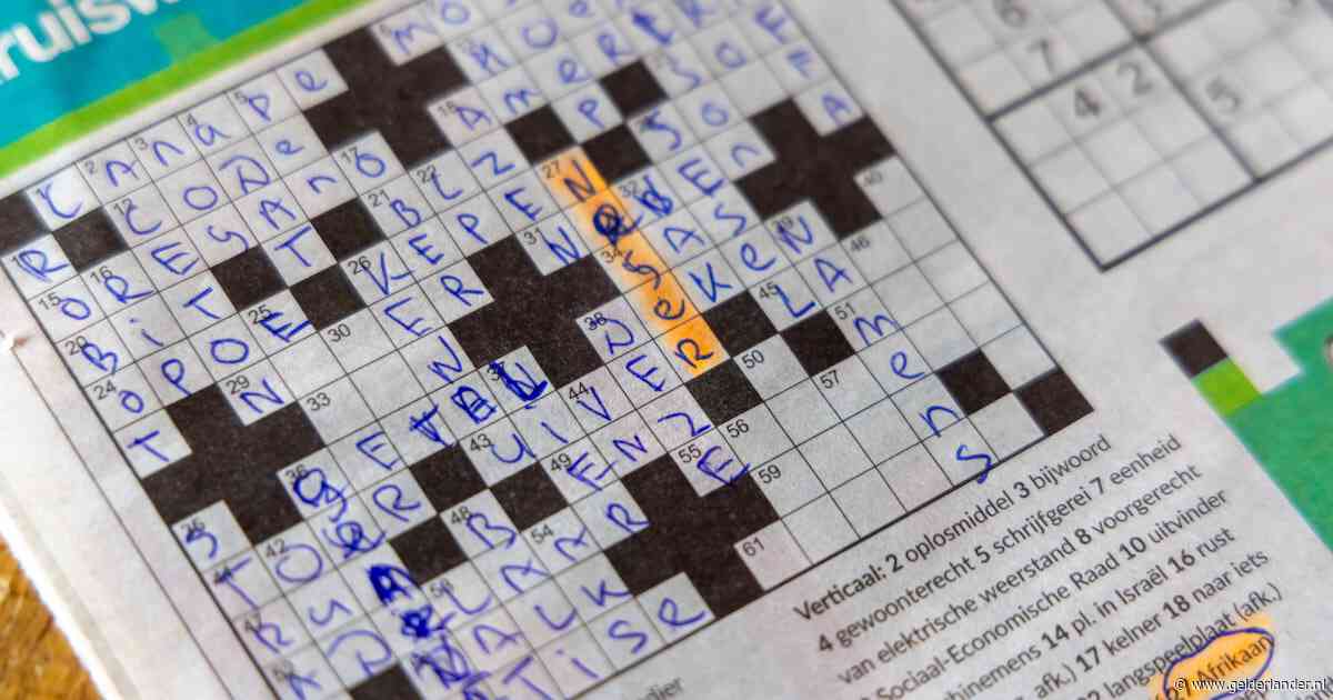 Ongeloof als Eva (35) puzzel van lokale krant invult: ‘Het zal toch niet?!’