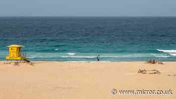 Hero lifeguard, 55, saves four Brit family members from drowning in Fuerteventura sea