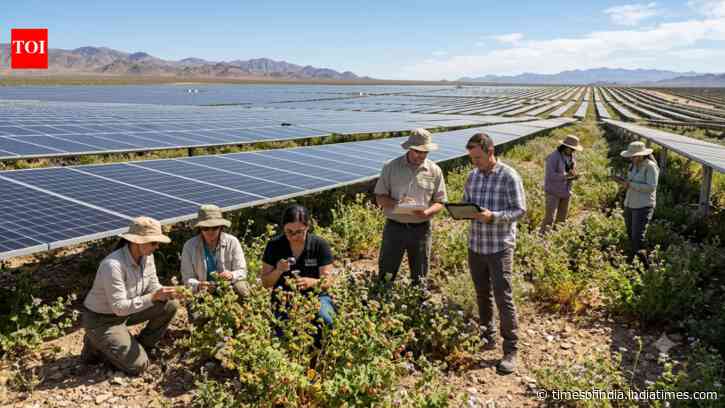 Nevada's solar panels helped a rare desert plant produce 10 times more fruit