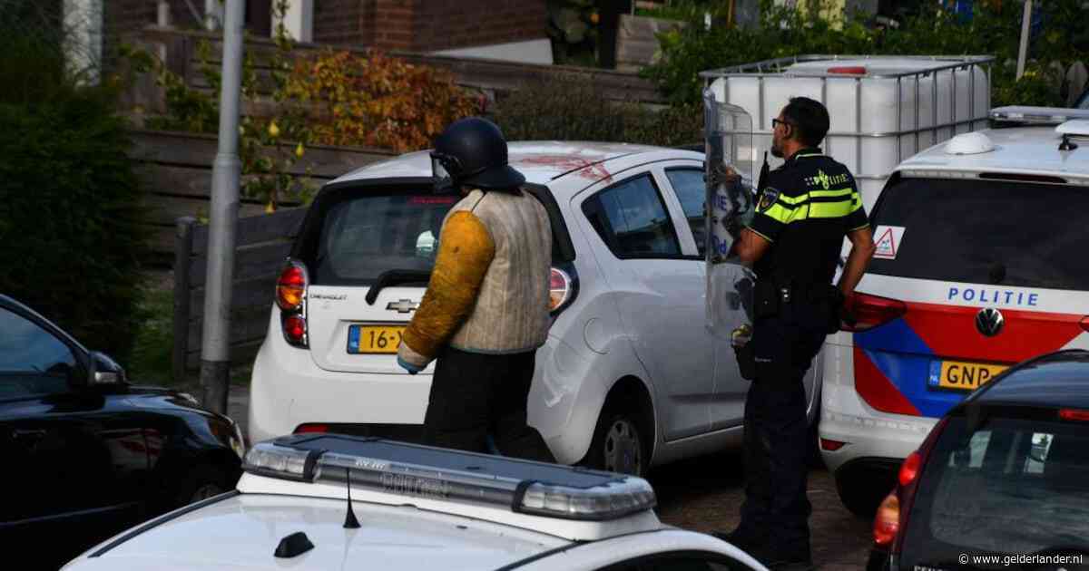 Agressieve hond valt mensen aan op straat, zwaargewond slachtoffer klimt op auto