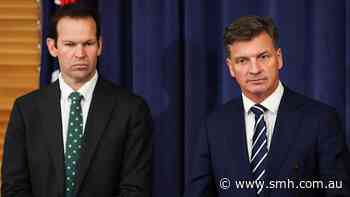 Hardline free-speech campaigners demand Coalition block Labor’s latest social media plan