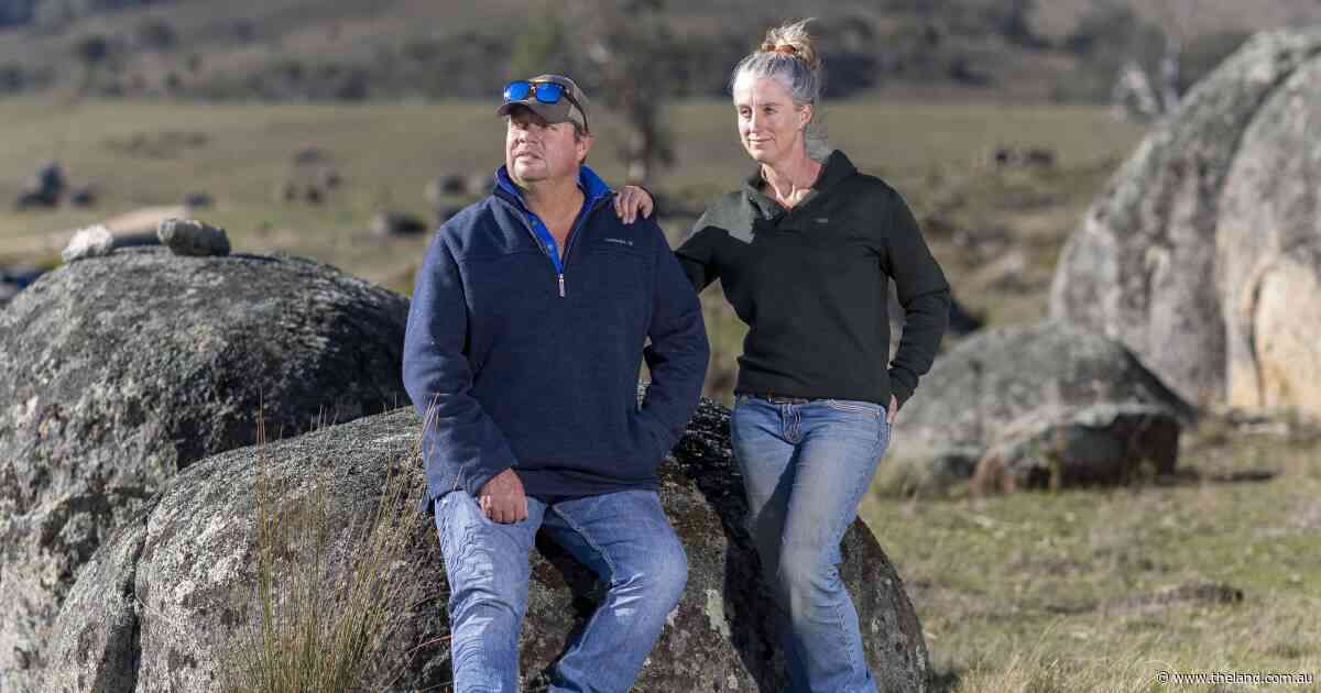 'Unreasonable': dingo inquiry begins as farmers recount horror impacts