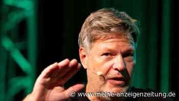 Habeck-Comeback? Grüne schmieden am großen Kanzler-Plan für 2029
