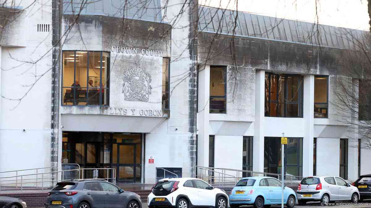 Swansea man found with 'particularly' sick child sex images