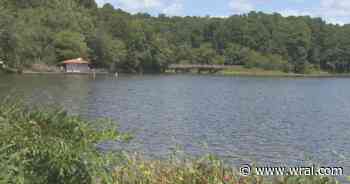 Bat rescued from drowning at Shelley Lake tests positive for rabies