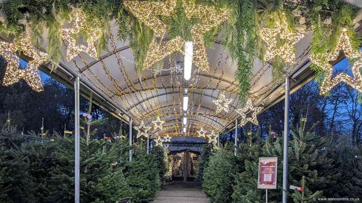 Welsh garden centre's magical grotto return date for Christmas 2026 and there's a big change