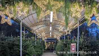 Welsh garden centre's magical grotto return date for Christmas 2026 and there's a big change