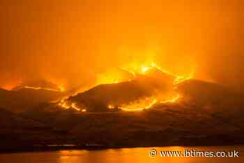 UN's WMO Marks Clean Air Day With Warning That Extreme Wildfire Smoke Events Have Tripled Since 1990s