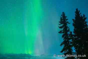 Northern Lights May Be Visible Across 11 US States Before Dawn Tuesday as NOAA Watches Possible G1 Storm