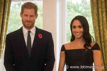 Prince Harry and Meghan Remain Private Citizens, King Charles Tells Officials