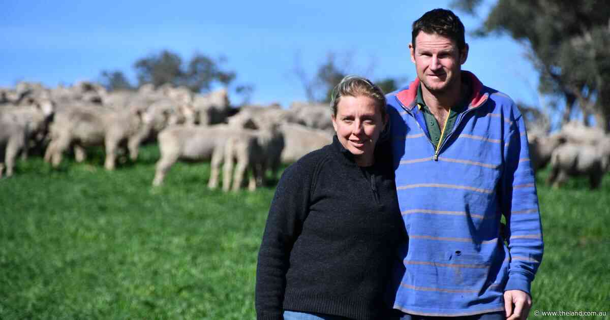 Renewing the family farm is scary, but these sheep graziers show it can be done