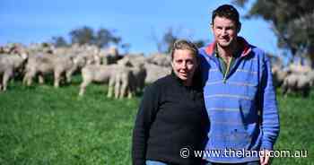 Renewing the family farm is scary, but these sheep graziers show it can be done