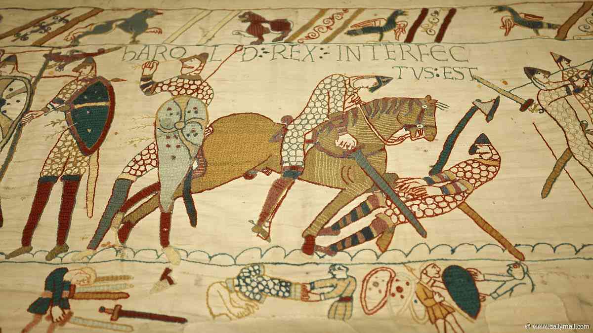 The Bayeux Tapestry's biggest remaining mysteries: The five key unanswered questions about the medieval artwork - including exactly how many penises it depicts