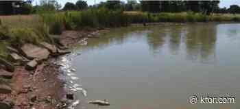Dead fish found floating near Lake Hefner 