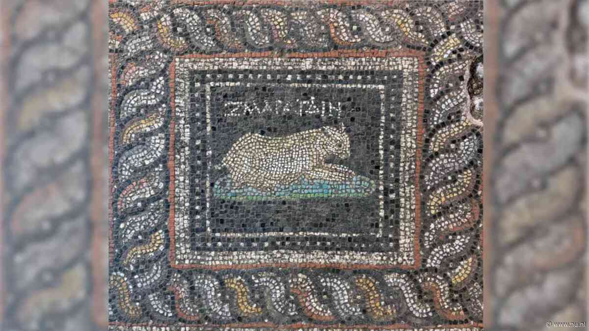 Archeologen vinden 1800 jaar oud mozaïek met mogelijke huisdieren in Turkije