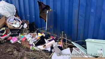 Criminals who cut their way into storage units and ransacked the contents still at large