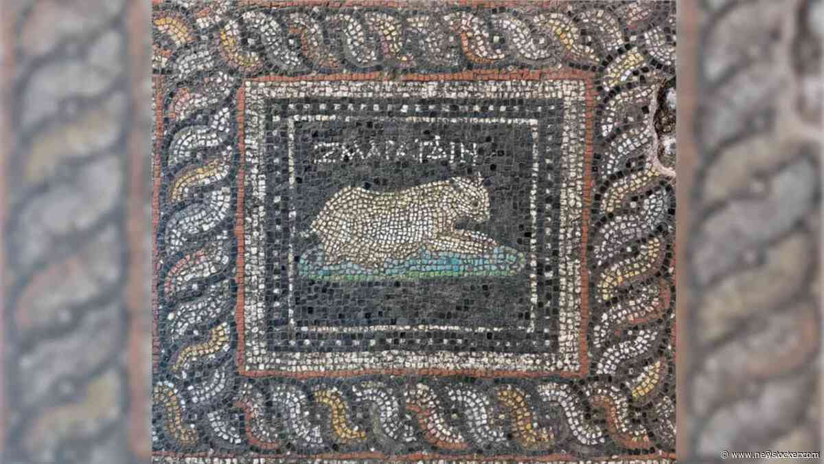 Archeologen vinden 1800 jaar oud mozaïek met mogelijke huisdieren in Turkije