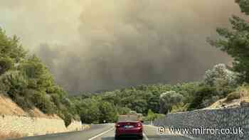 Turkey wildfire: Residents evacuated as flames spread towards homes in Antalya