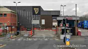 Trailers used to steal 70,000 pints worth of Guinness are found... but barrels of stout are nowhere to be seen