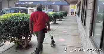 Canine Cellmates program helps men avoid jail time