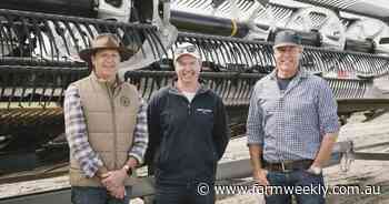 WA growers have their finger on pulse when it comes to lentil production
