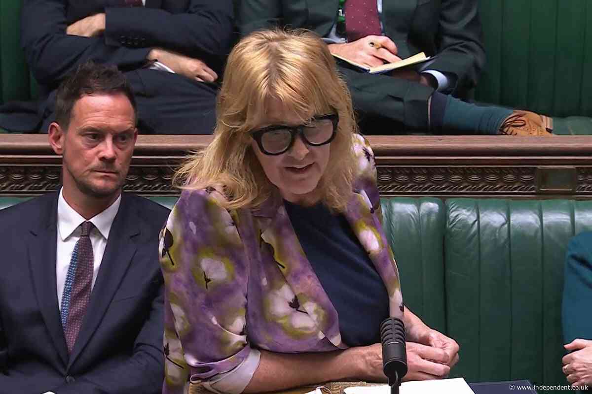 Tories to blame for anti-migration protests in Dover and Portsmouth, policing minister says