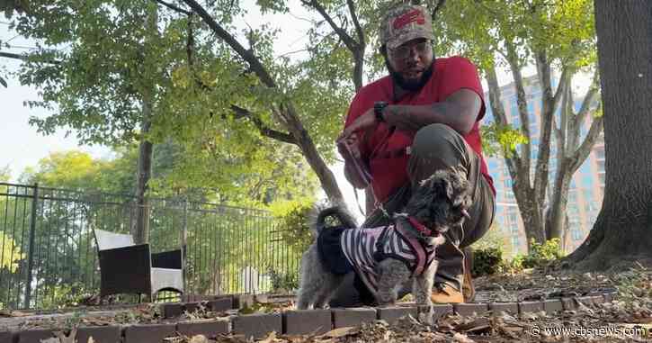 How a metro Atlanta nonprofit hopes to help repeat felony offenders through dog training