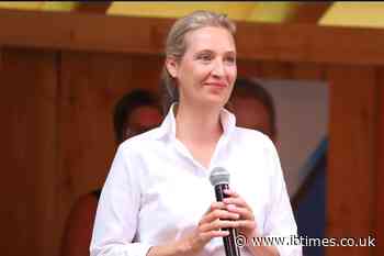 Who Is Alice Weidel? Lesbian AfD Leader Lives With Her Family in Switzerland as Party Opposing Gay Adoption Wins Saxony-Anhalt