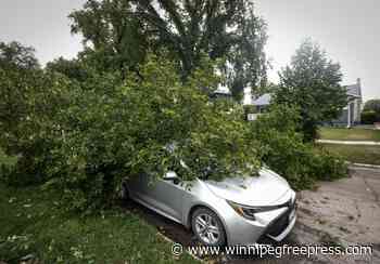 Parts of River Heights hammered by storm