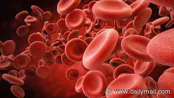 Thousands may have hidden blood condition that doctors miss because tests appear 'normal' - it raises risk of cancer, heart disease and early death