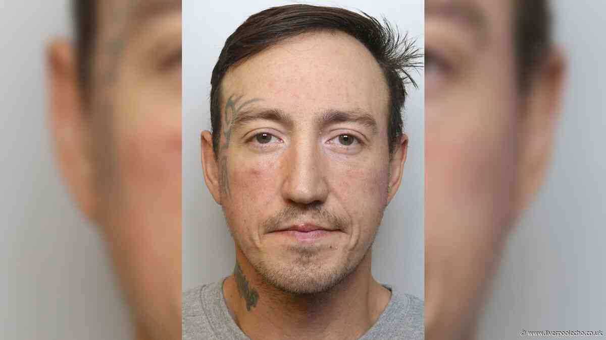 Widnes thug battered girlfriend's dog with hammer