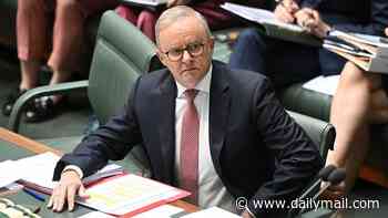 Albanese government triggers 'alarm bells' after damning report reveals majority of $560million grants went to Labor seats