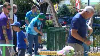 Iconic Putt-Putt facility re-opened as Putts N Pints with nostalgic layout and renovations