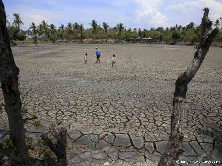 El Niño amenaza la seguridad alimentaria de millones de personas en América Latina