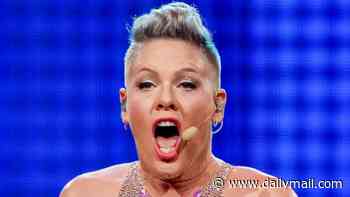 Pink calls out Macklemore over pro-Palestine stunt at concert as rapper breaks silence amid calls for him to be axed from Ed Sheeran's tour