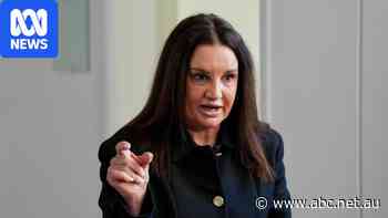 Live: Lambie fires up, demands a 'leash' be put around big tech
