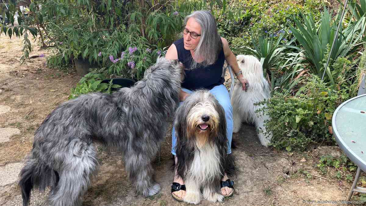 Berührende Tiergeschichten: Bei den Regnats in Neuburg bekommen Hunde und Katzen ein zweites Leben