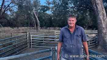 Barambah Organics founder Ian Campbell and daughter Hannah die in plane crash: Eerie interview surfaces about family's love of flying