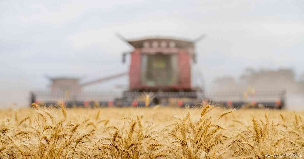 Analysis: do wheat buyers really pass on the falls faster than the rallies?
