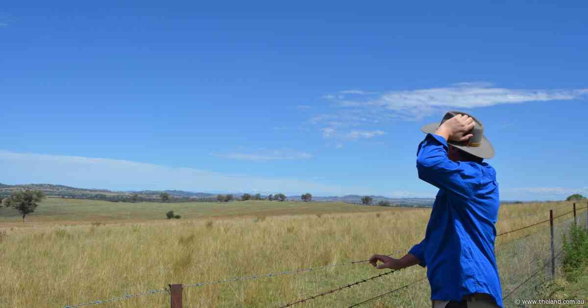 Political bickering is a luxury those in the bush can no longer afford