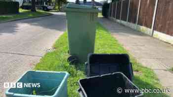 How extra wheelie bins could boost city's recycling rates