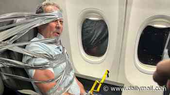 Gun shop owner describes moment he subdued violent American Airlines passenger while staff duct-taped him to seat during mile-high meltdown